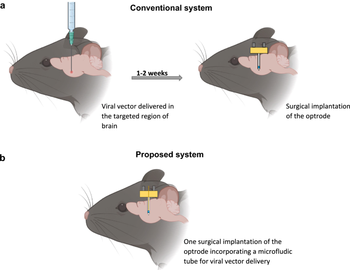 3D-printed optogenetic neural probe integrated with microfluidic tube for opsin/drug delivery
