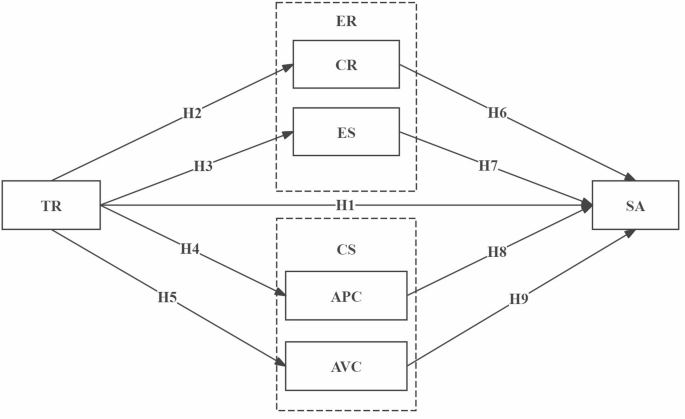 Trait resilience protects against social anxiety in college students through emotion regulation and coping strategies