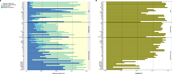Historic insights and future potential in wheat elaborated using a diverse cultivars collection and extended phenotyping