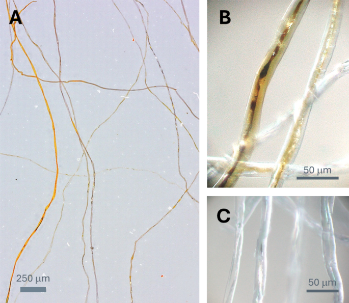 Nanoengineered cotton wipes for antiviral protection and environmental compatibility