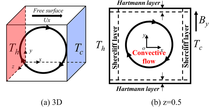 Anisotropic Lorentz force effects on the Marangoni convection in liquid metal systems for fusion applications