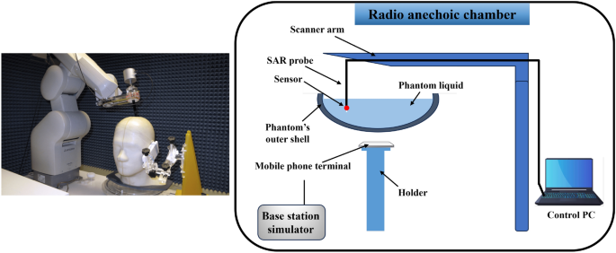 The modeling of the interaction of pulsed 5G/6G signals and the fine structure of human skin