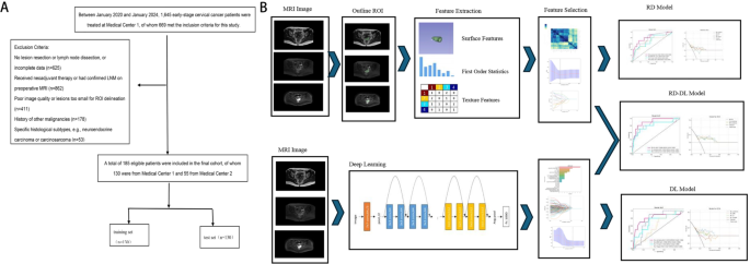 Prediction of cervical cancer lymph node metastasis based on multisequence magnetic resonance imaging radiomics and deep learning features: a dual-center study