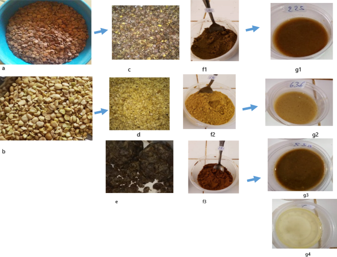 Sensory properties of fermented Zamné (Senegalia macrostachya seeds) and their influence on the broth quality and sensory profile