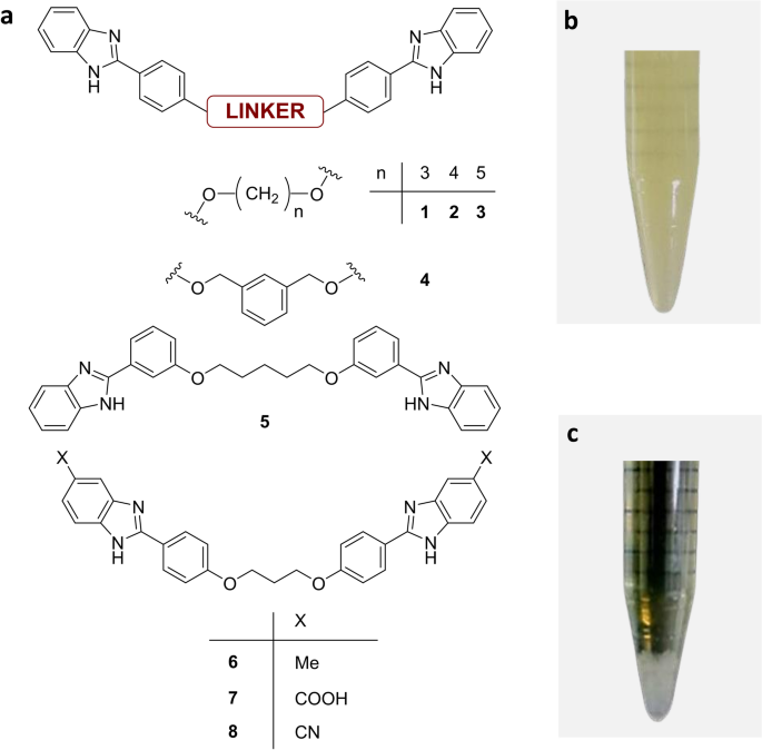 Molecular self-assembly mediates the flocculation activity of benzimidazole derivatives against E. coli