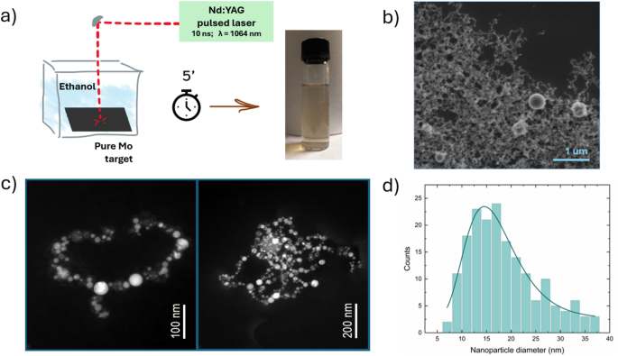 Molybdenum carbide nanoparticles produced by pulsed laser ablation for efficient hydrogen evolution reaction in alkaline conditions