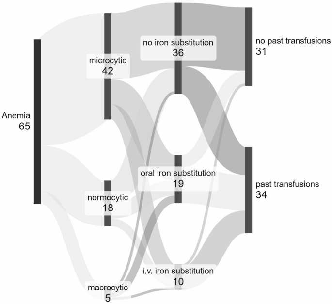 Cobalamin and iron deficiency still presents a challenge in hereditary hemorrhagic telangiectasia