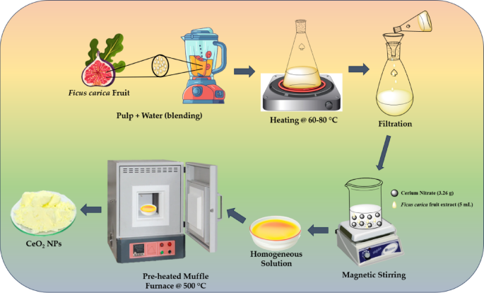 Cerium oxide nanoparticles prepared through Bio-combustion using Ficus carica as effective antioxidant, anticancer and dye degrading agent