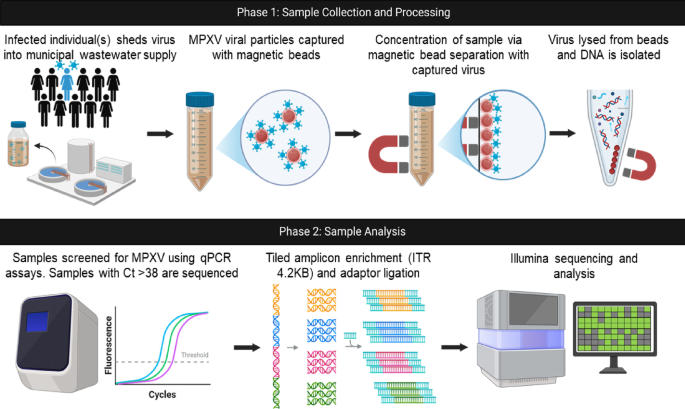 A targeted tiled amplicon sequencing approach for clade and subclade level differentiation of monkeypox virus from wastewater