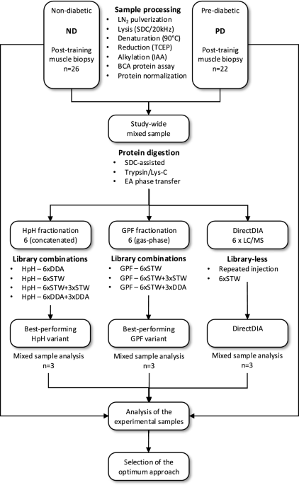 The impact of exercise on skeletal muscle proteome of prediabetic subjects analyzed with data independent mass spectrometry