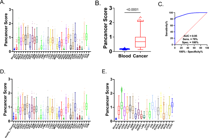 The epiMelanoma test enables plasma-based detection of melanoma and prediction of immunotherapy response