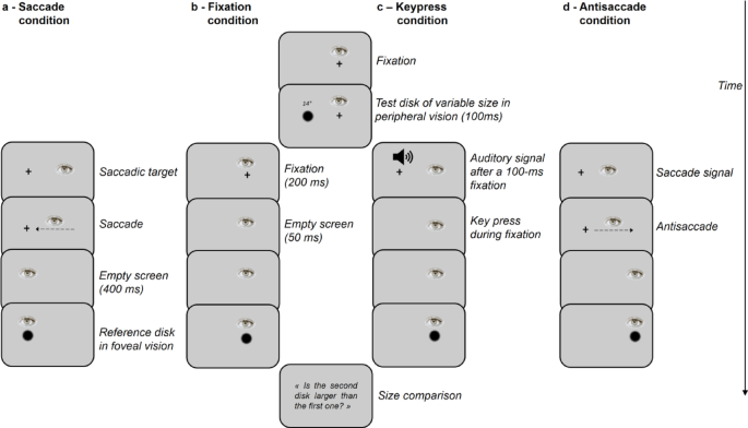 Pre-saccadic Attention (and not Arousal) modulates the Size-Eccentricity Effect