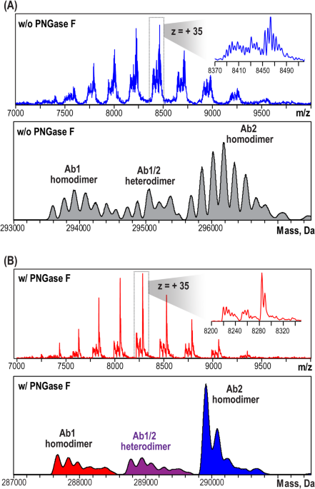 Analytical strategies for identification and quantitation of heterodimers in co-formulated monoclonal antibody cocktails by native SEC-MS