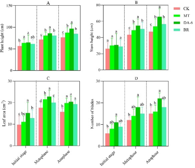 A study on the growth and physiological traits of Leymus chinensis in artificial grasslands under exogenous hormone regulation