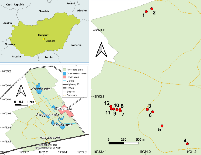 An investigation into the spatial patterns of invasive common milkweed (Asclepias syriaca L.) stands through the utilization of drone images