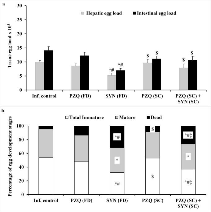 Optimizing the therapeutic benefits of synriam combined with praziquantel in mice harbouring juvenile and mature Schistosoma mansoni