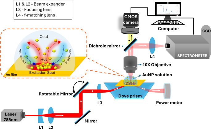 Effect of nanoparticle density on the kinetics of SPP-assisted plasmonic assembly