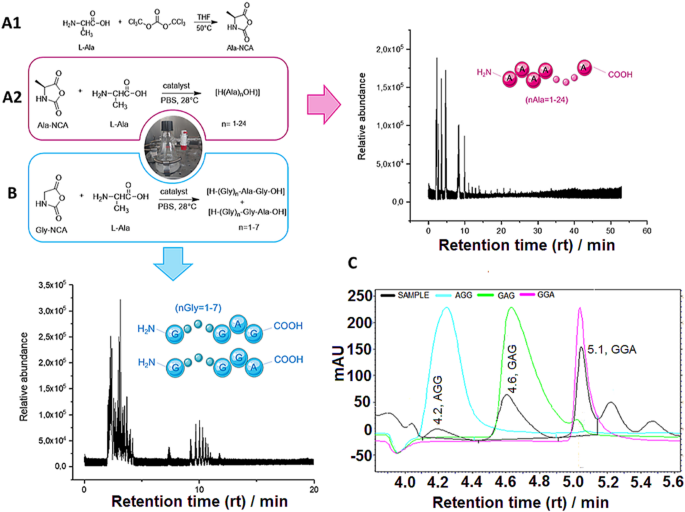 Reproducible Ala-Gly oligomerization catalyzed by the natural Borate colemanite in prebiotic conditions
