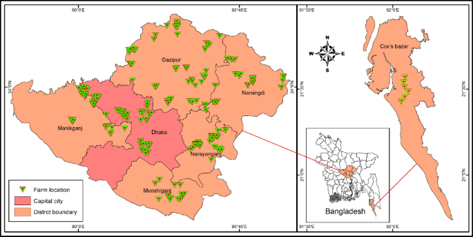Determinants of indiscriminate antimicrobial use in commercial chicken farms in Bangladesh and their impact on food safety and public health