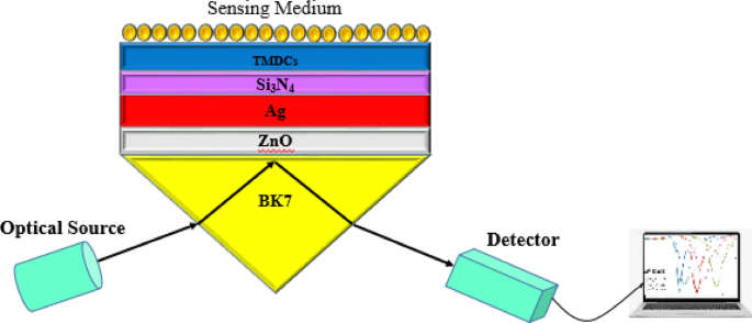 On the sensing performance improvement in SPR biosensor using ZnO and TMDCs architecture for cancer detection