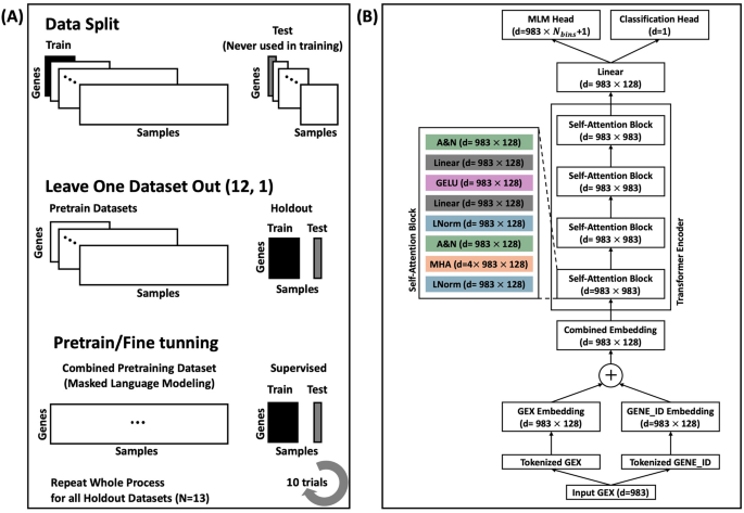 IC2Bert: masked gene expression pretraining and supervised fine tuning for robust immune checkpoint blockade (ICB) response prediction