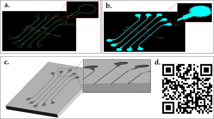 Mechanodynamic brain on chip for studying human stem cell derived neuronal networks