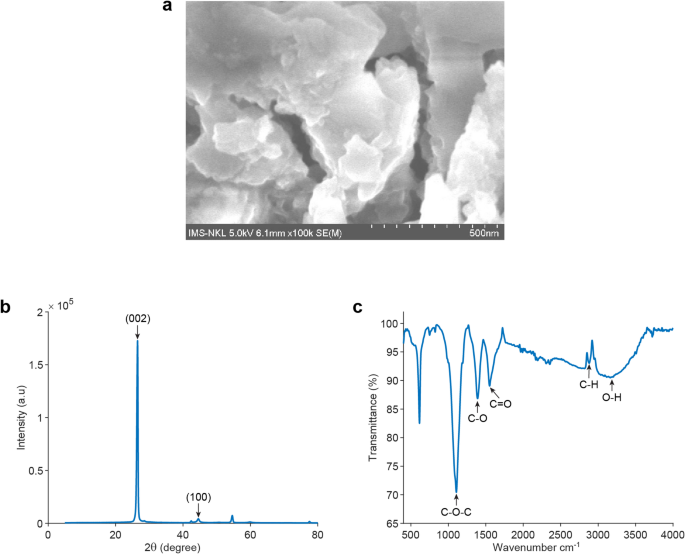 Reduced graphene oxide-based absorbance biosensors for detecting Escherichia coli DNA