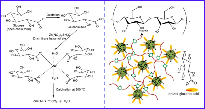 Microwave assisted starch stabilized green synthesis of zinc oxide nanoparticles for antibacterial and photocatalytic applications