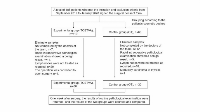 The central lymph node dissection using carbon nanoparticle in transoral vestibular approach endoscopic thyroid surgery