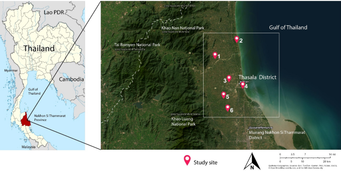 Prevalence, associated risk factors and satellite imagery analysis in predicting soil-transmitted helminth infection in Nakhon Si Thammarat Province, Thailand