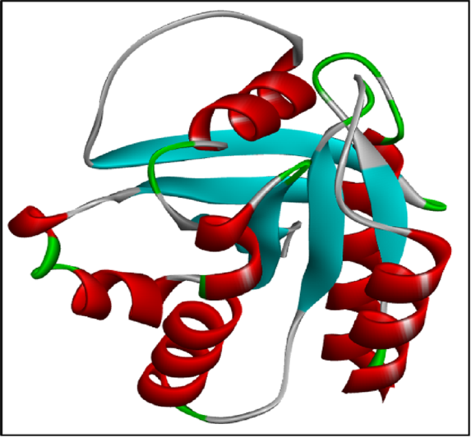 Computational screening of phytochemicals targeting mutant KRAS in colorectal cancer