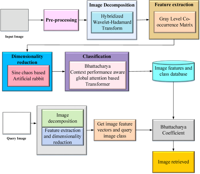 Medical application driven content based medical image retrieval system for enhanced analysis of X-ray images
