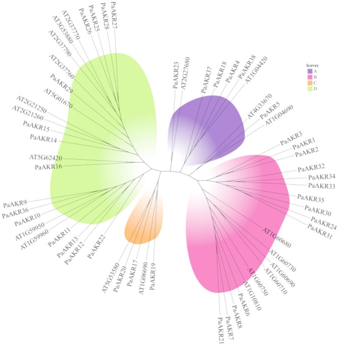 Identification of the AKR gene family in sweet cherry and its response to different abiotic stresses