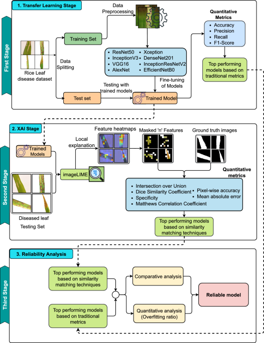 Evaluation of deep learning models using explainable AI with qualitative and quantitative analysis for rice leaf disease detection