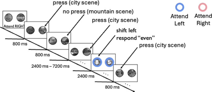 Learned saccade readiness varies with fluctuations in sustained attention