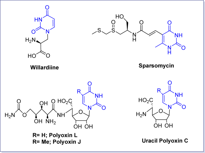 Uracil derivatives/ursolic acid hybrids – naturally derived compounds as anticancer agents