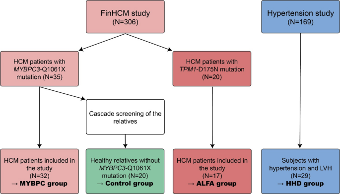 Left ventricular septal convexity in differentiating hypertrophic cardiomyopathy from hypertensive heart disease – a cardiac magnetic resonance study