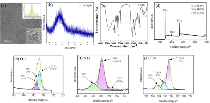 Synthesis and properties of carbon quantum dots as an antimicrobial agent and detection of ciprofloxacin