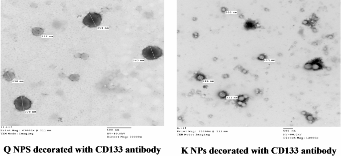 Role of CD133 antibody-conjugated nanocarrier in enhancing the targetability of hepatocellular carcinoma stem cells