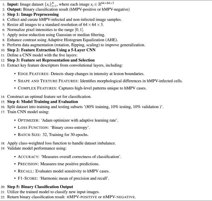 Deep learning approach for automated hMPV classification