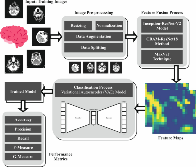 Artificial intelligence with feature fusion empowered enhanced brain stroke detection and classification for disabled persons using biomedical images