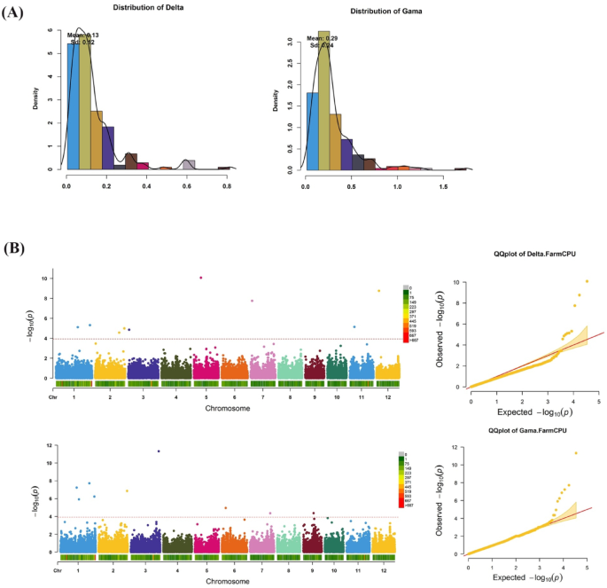 Genome-wide association mapping and transcriptional analysis uncover genetic determinants of minor tocopherols in rice seeds