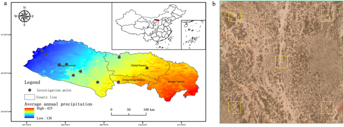 Species richness is an important mediator of multifunctionality changes in Hobq desert shrub ecosystem