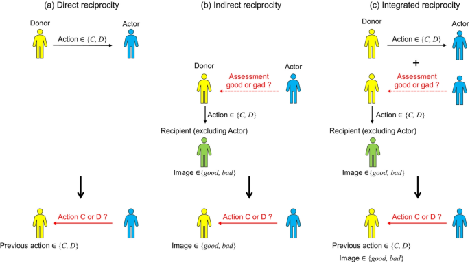 Tolerant integrated reciprocity sustains cooperation in a noisy environment