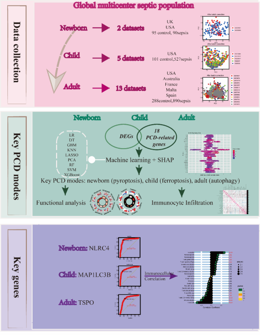Machine learning based screening of biomarkers associated with cell death and immunosuppression of multiple life stages sepsis populations