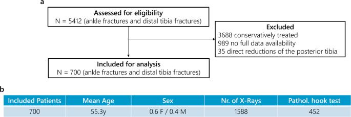 Development of a deep learning algorithm for radiographic detection of syndesmotic instability in ankle fractures with intraoperative validation