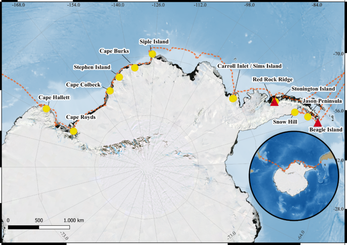 Tracking HPAIV H5 through a geographic survey of Antarctic seabird populations