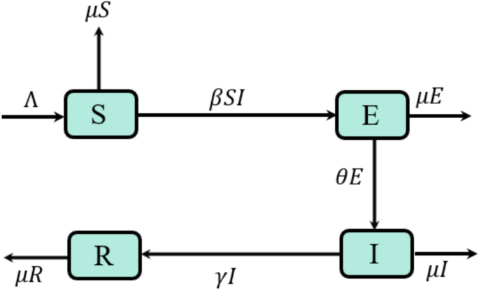 Numerical solutions for norovirus epidemic spread: implications for public health control