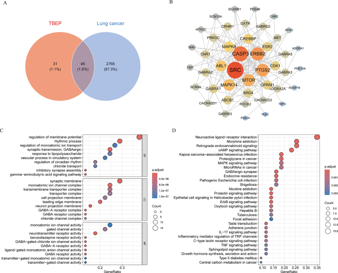 Mechanistic insights into the effects of Tris-2-butoxyethyl phosphate on multiple cancers using network toxicology and molecular docking