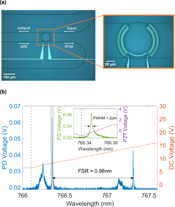 Chip-integrated spectroscopy capable of temperature retrieval